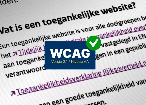 WCAG 2.1 AA check 